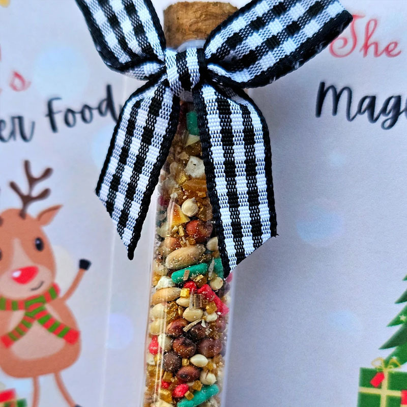 Magic Reindeer Food Christmas Eve Gift