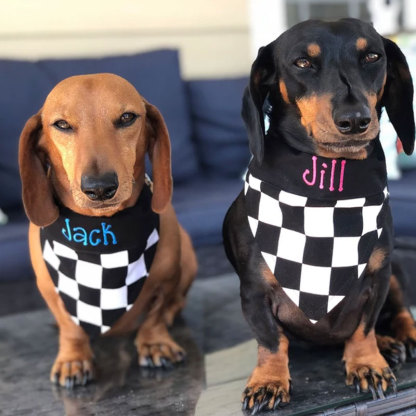 Personalized Racing Check Embroidery Dog Bandana