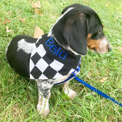 Personalized Racing Check Embroidery Dog Bandana