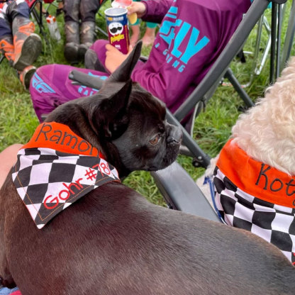 Personalized Racing Check Embroidery Dog Bandana
