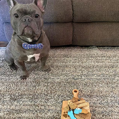 Personalized Dog Board For your Pets