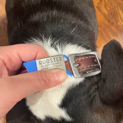 Slide on Dog Tag for Dogs Personalize Dog ID Tag Cat Tag Pet Collar Tag