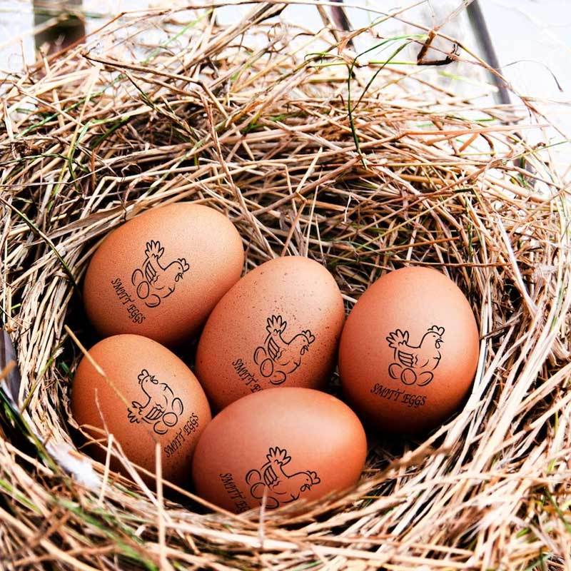 Personalized Chicken Egg Stamp Farm Label