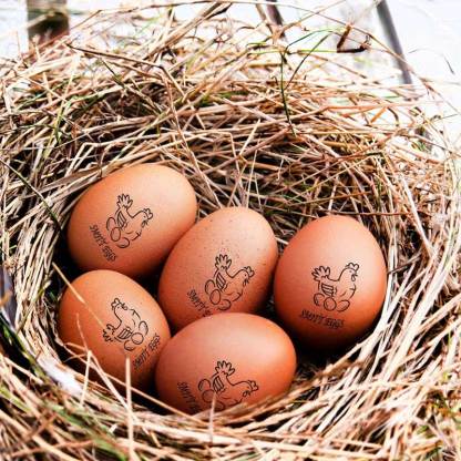 Personalized Chicken Egg Stamp Farm Label