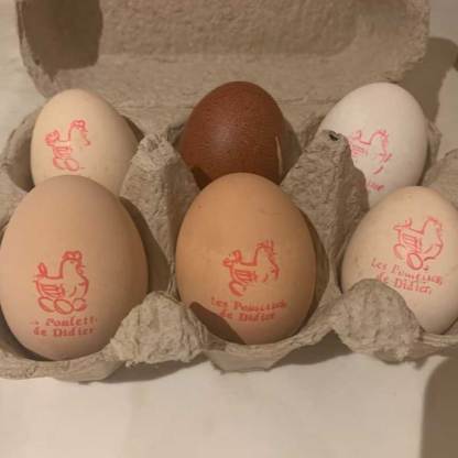 Personalized Chicken Egg Stamp Farm Label