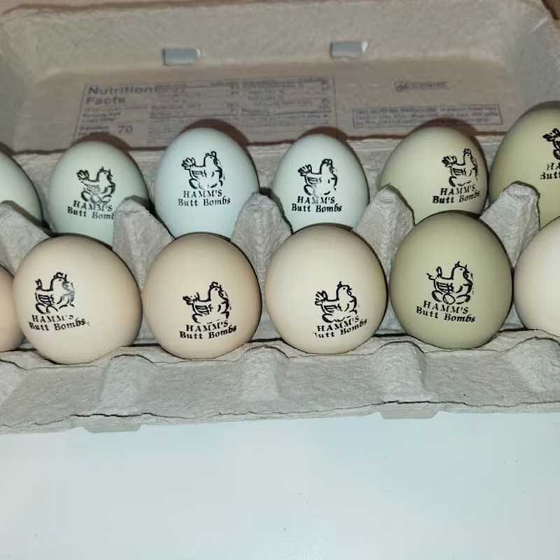 Personalized Chicken Egg Stamp Farm Label