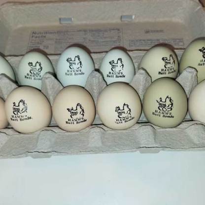Personalized Chicken Egg Stamp Farm Label