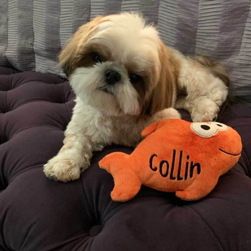 Personalized Fish Dog Toy