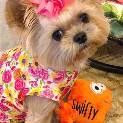 Personalized Fish Dog Toy