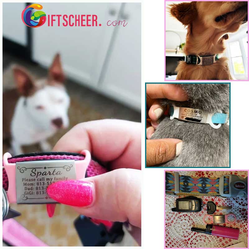 Slide on Dog Tag for Dogs Personalize Dog ID Tag Cat Tag Pet Collar Tag