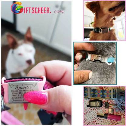 Slide on Dog Tag for Dogs Personalize Dog ID Tag Cat Tag Pet Collar Tag