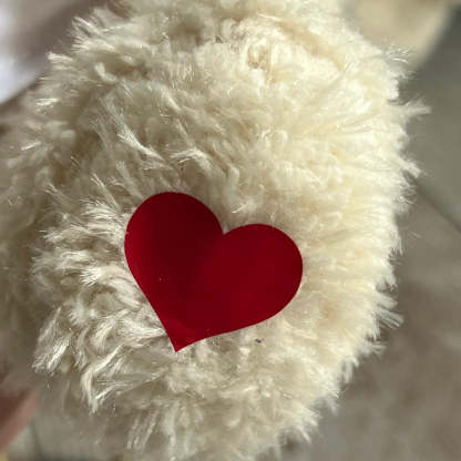 Personalised Teddy Bear Worlds Best Girlfriend Boyfriend Valentine's Day Gift