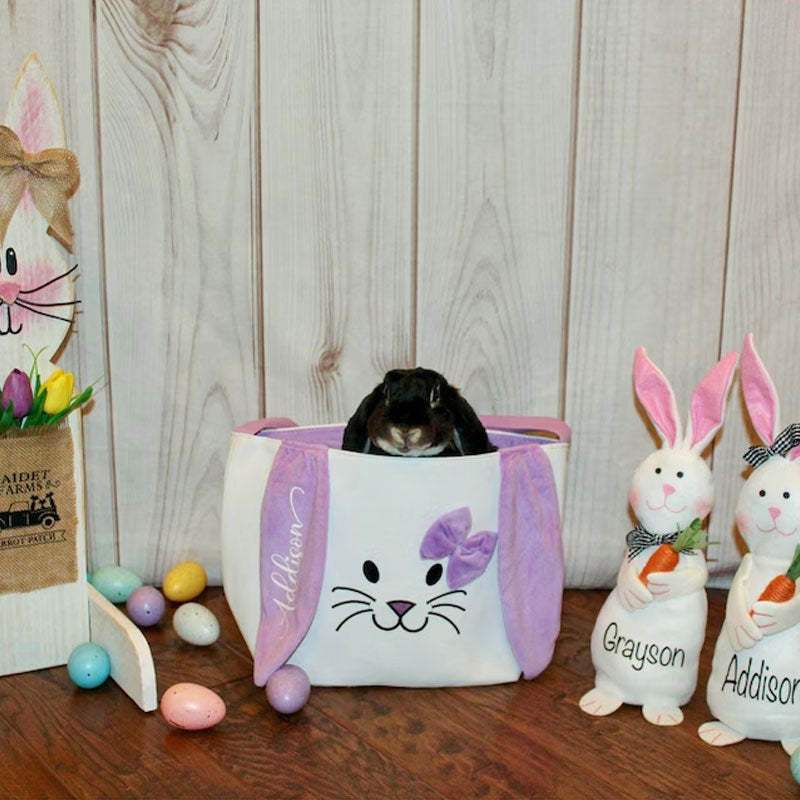 Personalized Beanie Bunny Toy Spring Decor Easter Decor