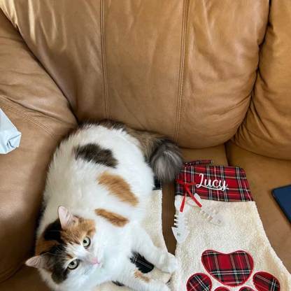 Personalized Pet Stocking Christmas Gift