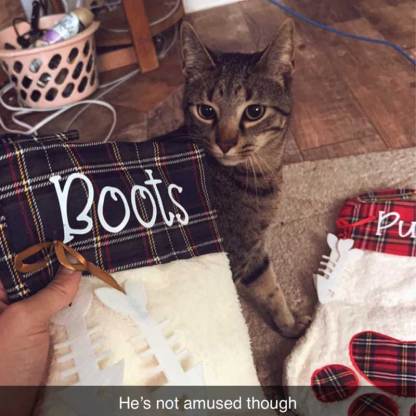 Personalized Pet Stocking Christmas Gift
