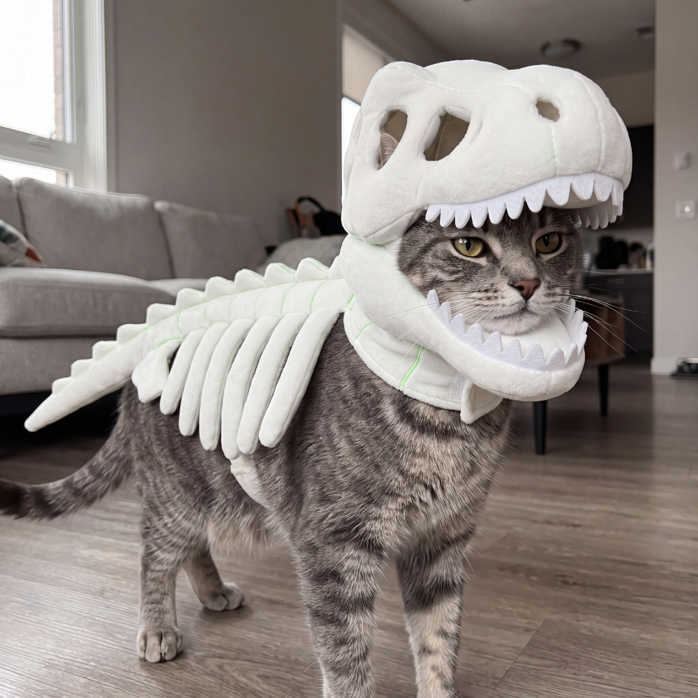 Pet wearing the 3D dino skeleton skull mask