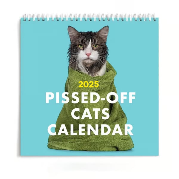 🔥This Week's Special Offer 49% OFF -2025 Pissed-Off Cats Calendar