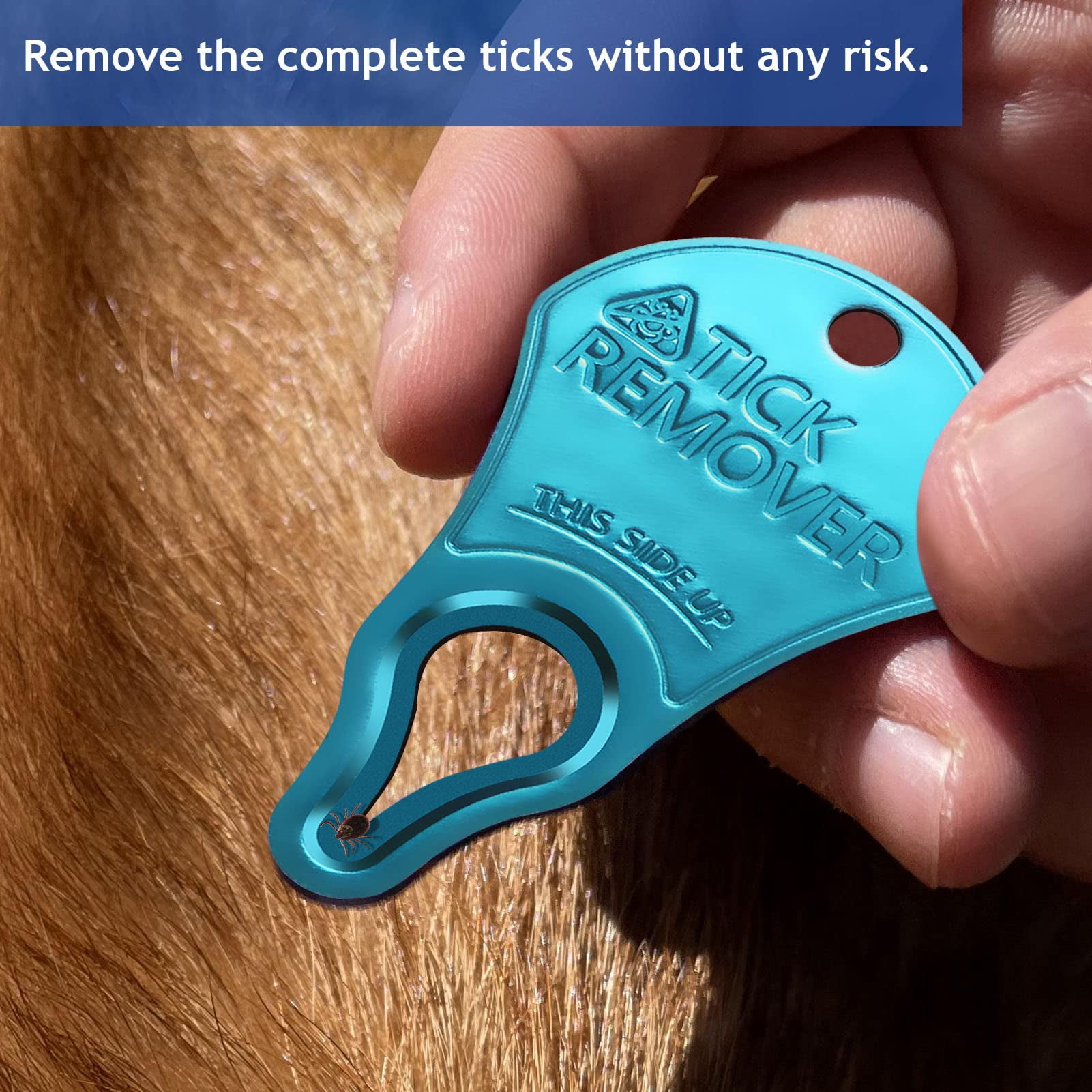 🔥Last Day 50% OFF🎄Portable Tick Remover Tool -Buy 3 Free 2