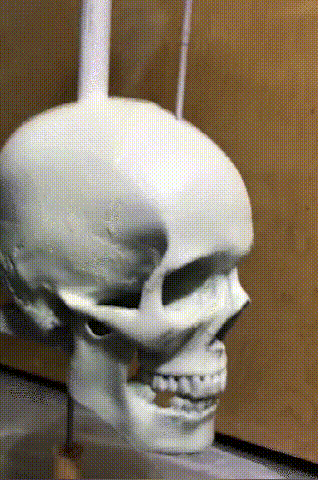🎃Iron Skull Whirligig - Garden Decor💀