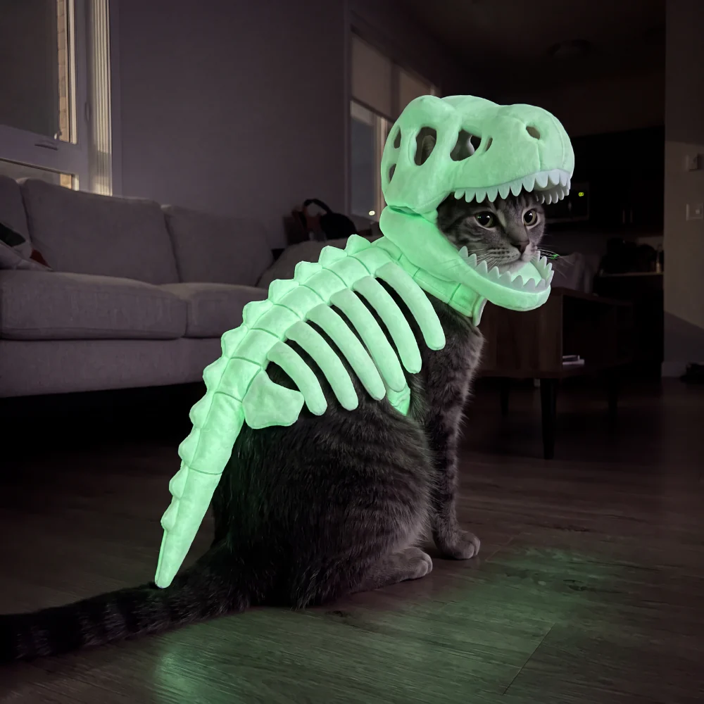 🦖Dinosaur Pet Costume