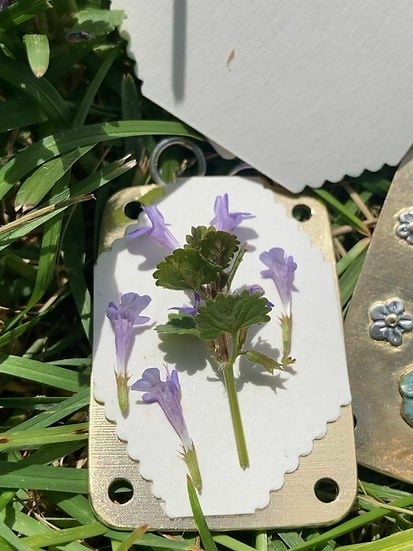 ❤️Mother's Day 49% OFF - 🌸Micro Flower Press - BUY MORE SAVE MORE