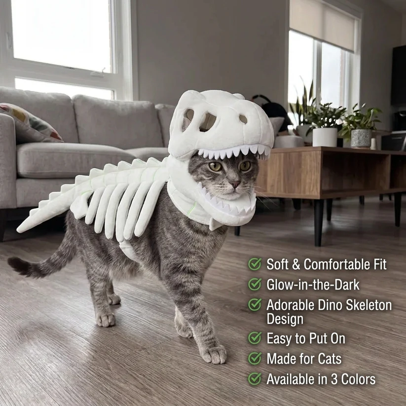 🦖Dinosaur Pet Costume