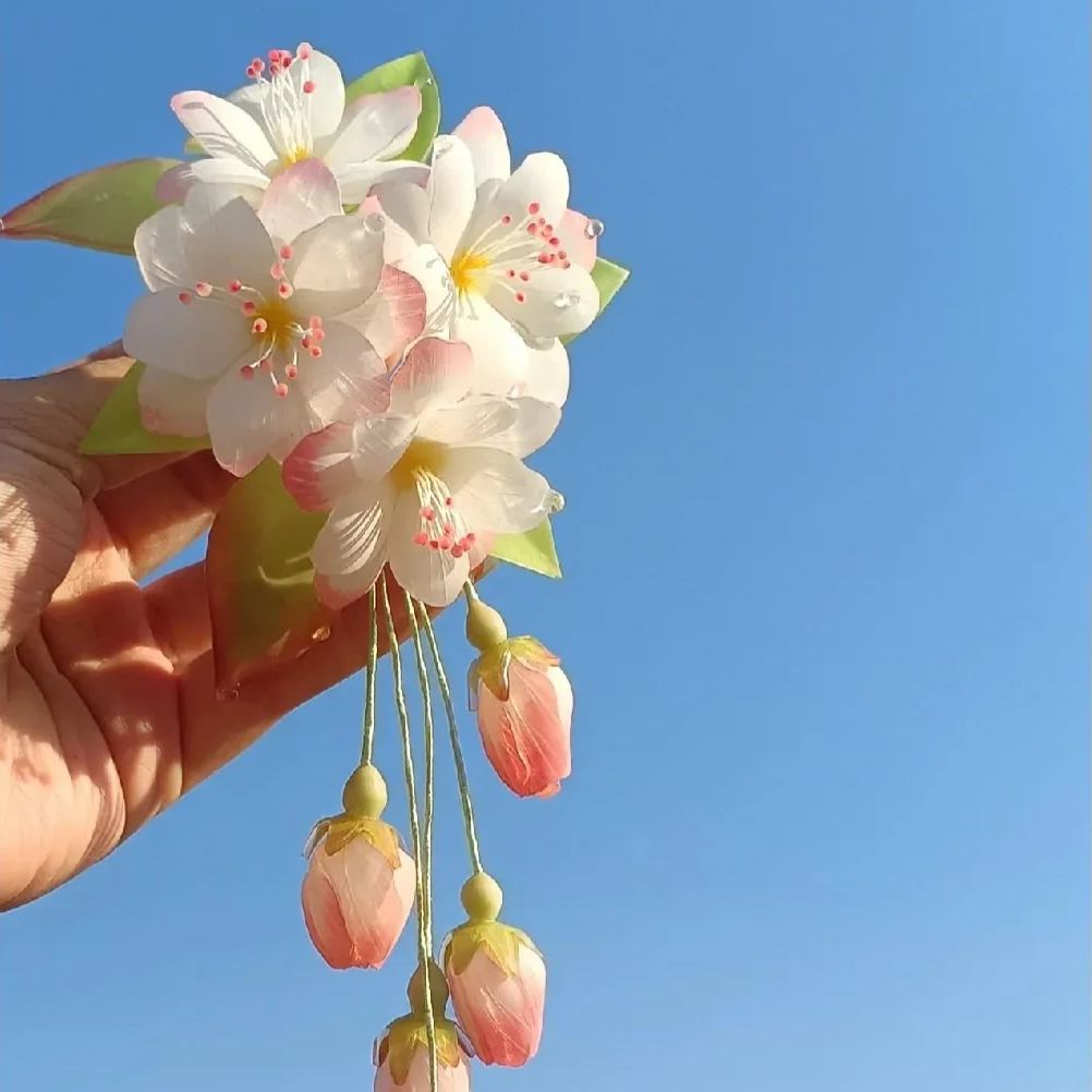 Begonia flowers Seeds