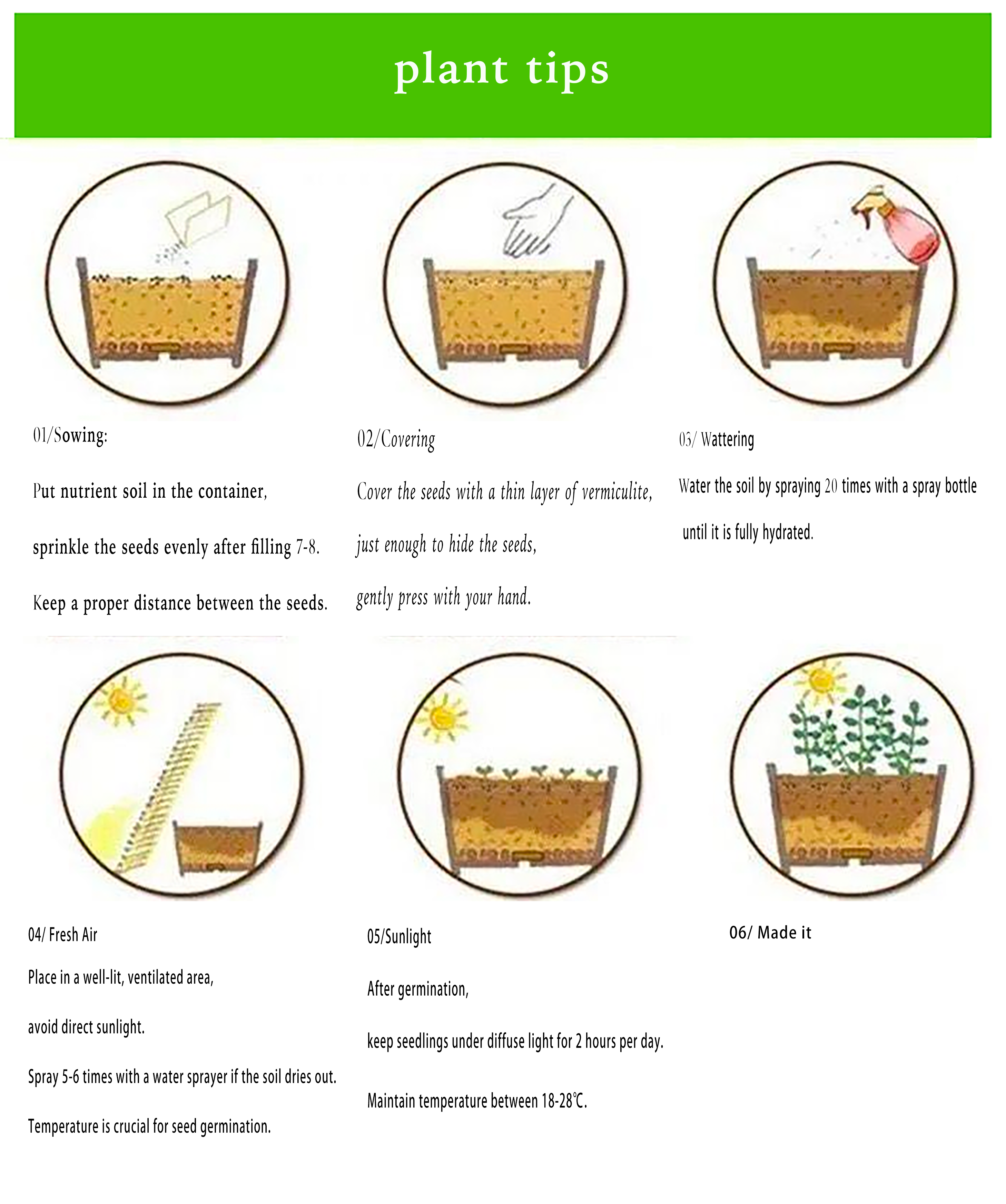 Mixed Wild Flower Seeds