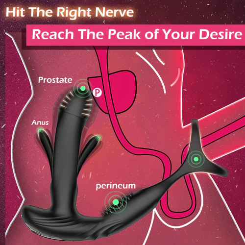 🔥Special launch of supreme series in 2024--👑4 in 1 Prostate Massager