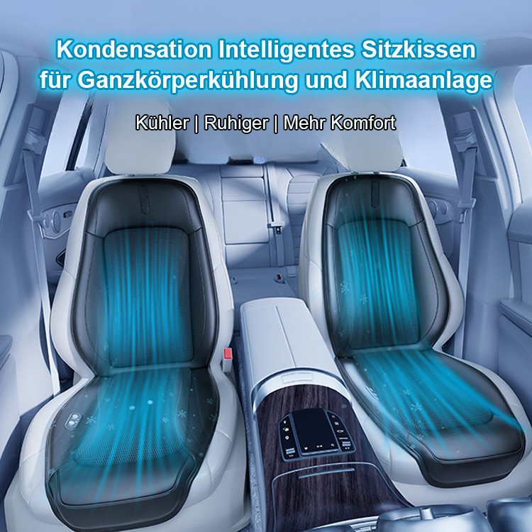 Klimatisierte und gekühlte Autoteppiche