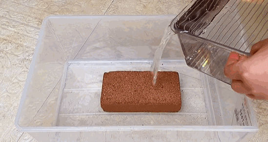 翻译件-XX23041302M-绿植营养土【有机天然椰砖】-1036449_18.gif