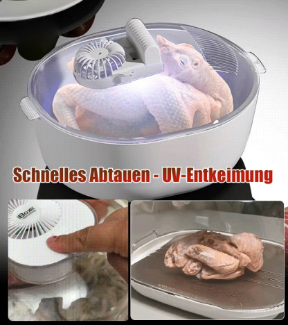 6-in-1-Bakterienhemmender Auftau-und Frischhalter