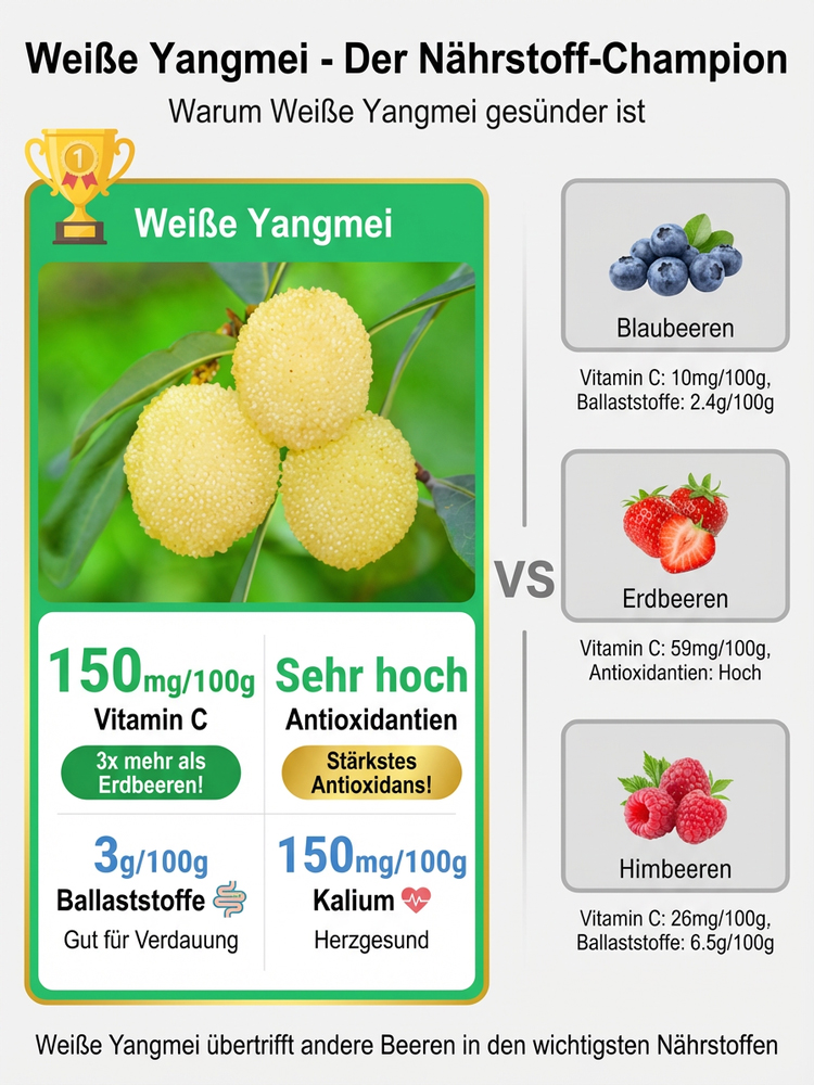 ✨ Weiße Kristall-Yumberry: Jetzt pflanzen + diesen Sommer riesige, zuckersüßeFrüchte ernten! ⚪🍓 Winterhart & perfekt für den Balkon!