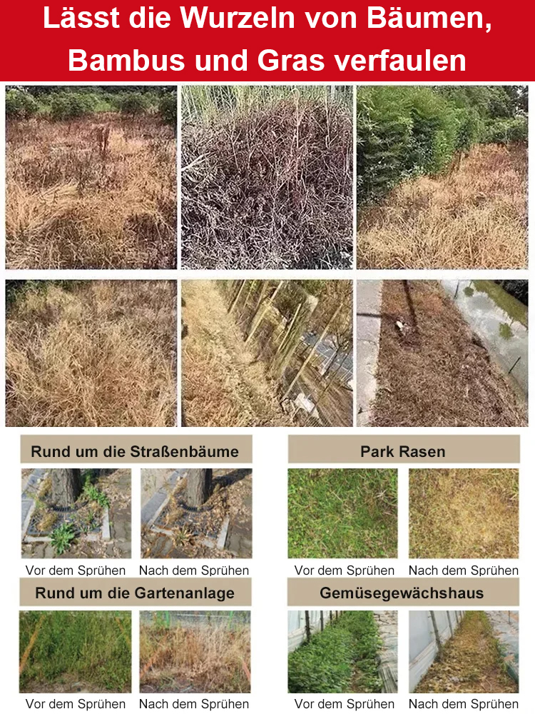 2025 neuestes biologisches umweltfreundliches Herbizid, das gezielt Unkraut bekämpft! 🌿 Einmal anwenden und 3 Jahre unkrautfrei! 🚫🌱