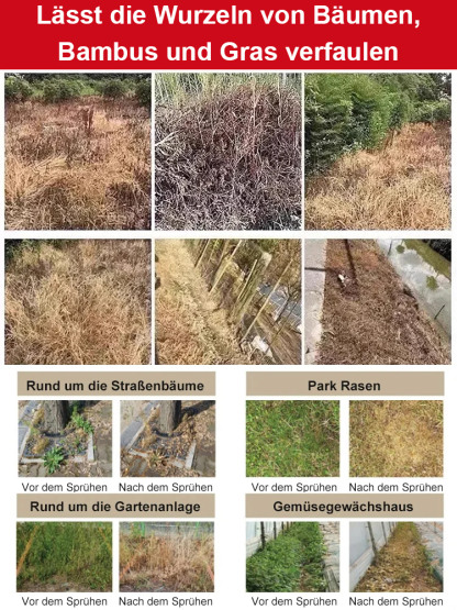2025 neuestes biologisches umweltfreundliches Herbizid, das gezielt Unkraut bekämpft! 🌿 Einmal anwenden und 3 Jahre unkrautfrei! 🚫🌱
