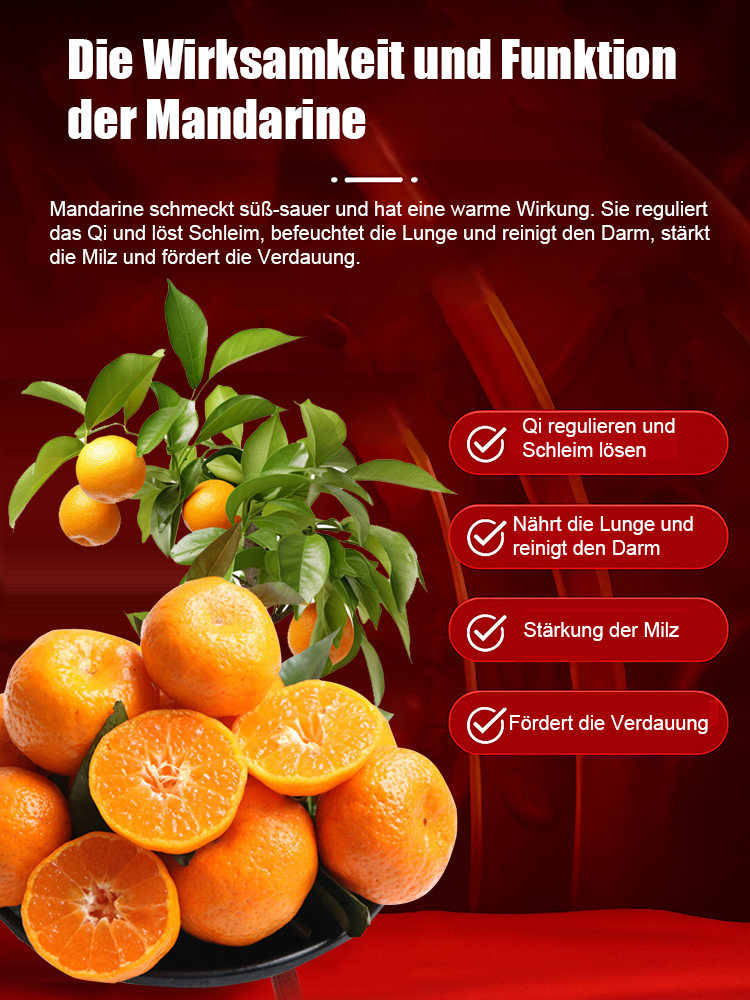【Überlebensgarantie】Zweijährige verbesserte Zuckermandarinensetzlinge, geeignet für Innen- und Außenanbau 🍊