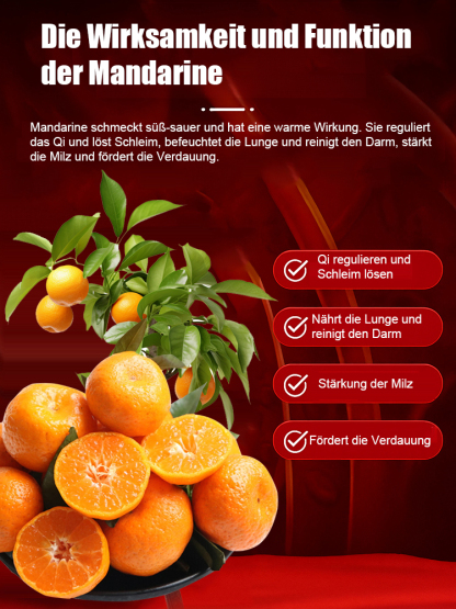 【Überlebensgarantie】Zweijährige verbesserte Zuckermandarinensetzlinge, geeignet für Innen- und Außenanbau 🍊