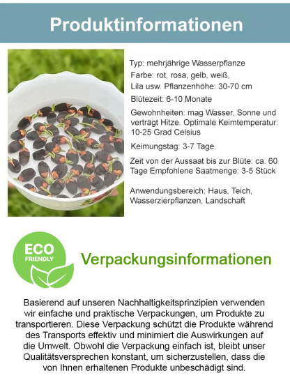 🌬️ Luftreinigung, Entfernung von Formaldehyd, duftet besser als Parfüm! 🌸 Die Seerose, die ohne Erde angebaut werden kann!