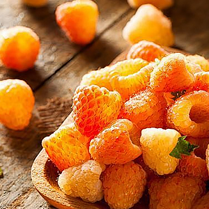 Neuste Hybridsorte: 🌱 Dornlose, krankheitsresistente, schädlings- und dürre-/überschwemmungsbeständige Himbeeren 🍇, die nach nur einem Jahr Anbau ihre volle Fruchtreife erreichen 🍓.