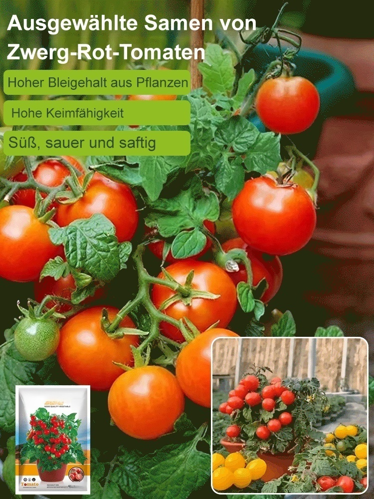 Hausgemachte Balkon-Zwerg-Topf-Pearl-Tomate