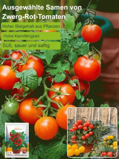 Hausgemachte Balkon-Zwerg-Topf-Pearl-Tomate