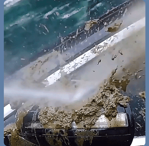 6.gif