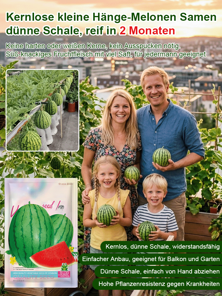 Mini-Wassermelone Samen für Balkon 🍉 Ultradünne Schale Kernlos 60 Tage Ernte Einfacher Anbau