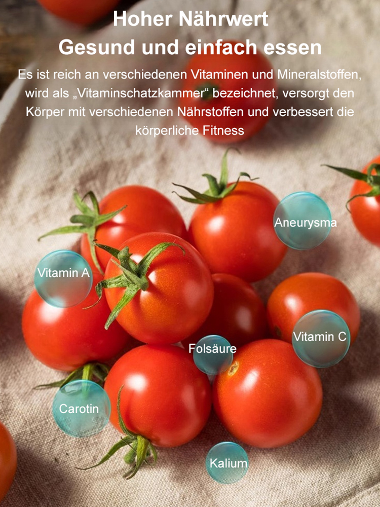 Hausgemachte Balkon-Zwerg-Topf-Pearl-Tomate
