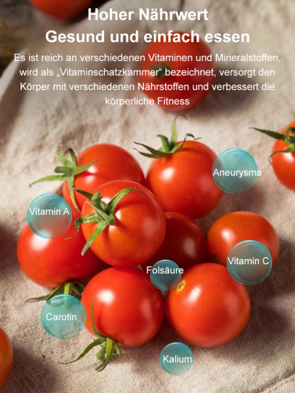 Hausgemachte Balkon-Zwerg-Topf-Pearl-Tomate