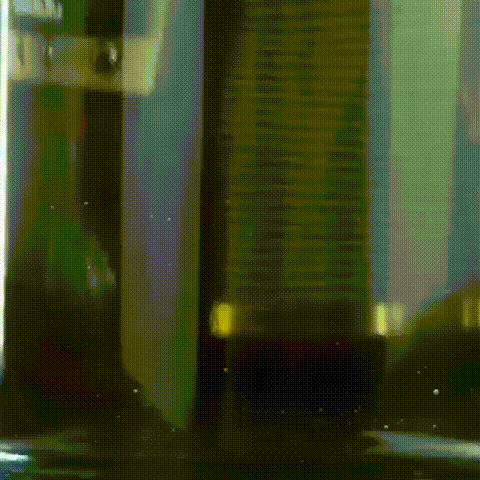 000.gif