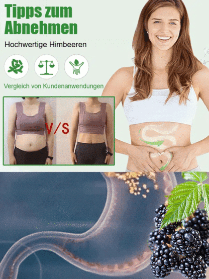 Neuste Hybridsorte: 🌱 Dornlose, krankheitsresistente, schädlings- und dürre-/überschwemmungsbeständige Himbeeren 🍇, die nach nur einem Jahr Anbau ihre volle Fruchtreife erreichen 🍓.