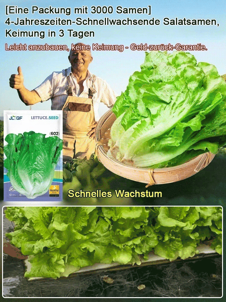 3 Tage zur Keimung, 3 Wochen bis zur Reife 🌱, dann muss man keinen Salat mehr im Supermarkt kaufen 🥗.