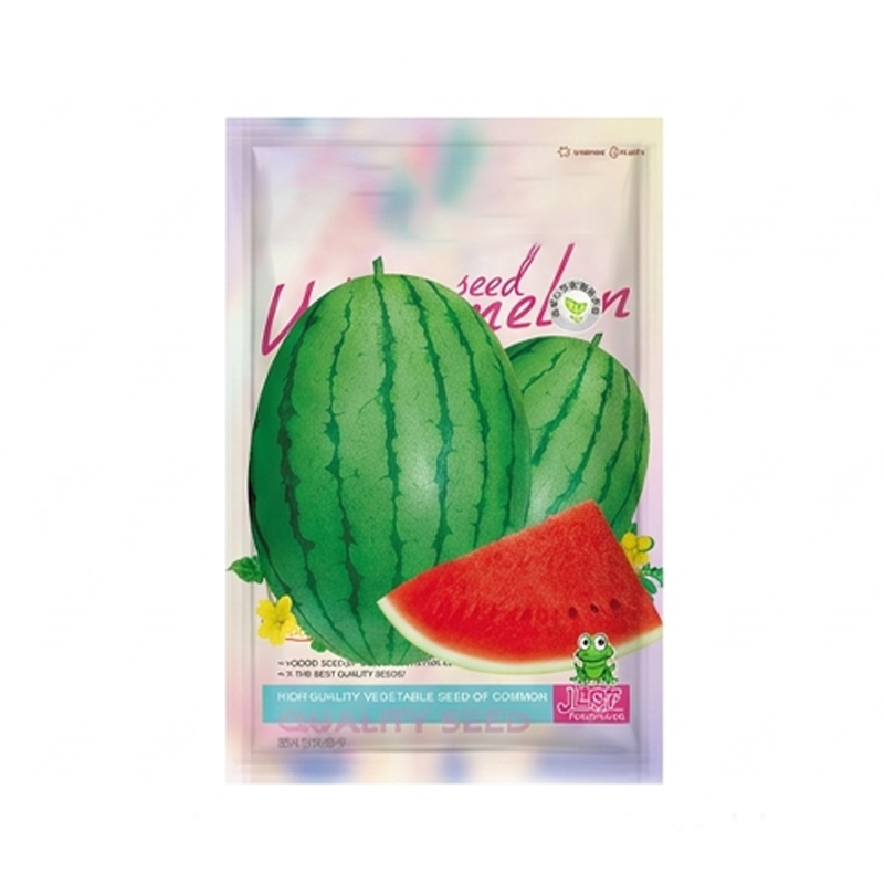Mini-Wassermelone Samen für Balkon 🍉 Ultradünne Schale Kernlos 60 Tage Ernte Einfacher Anbau