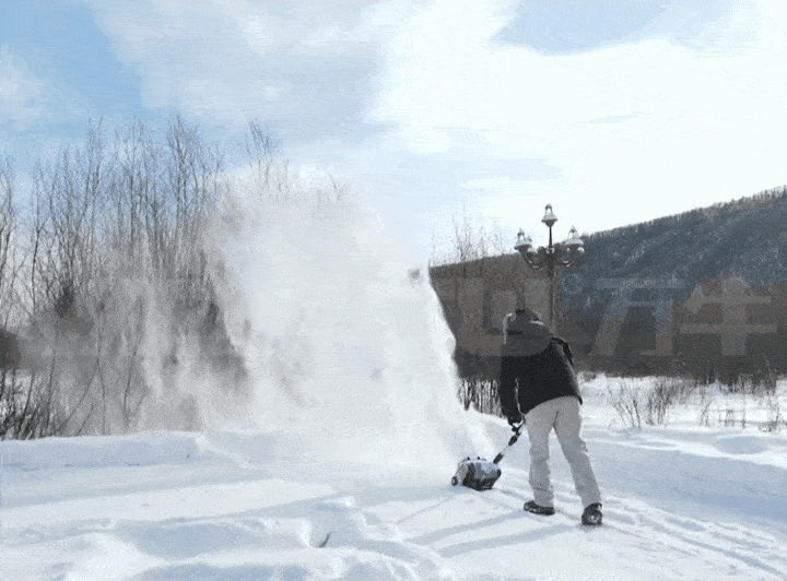 5.gif